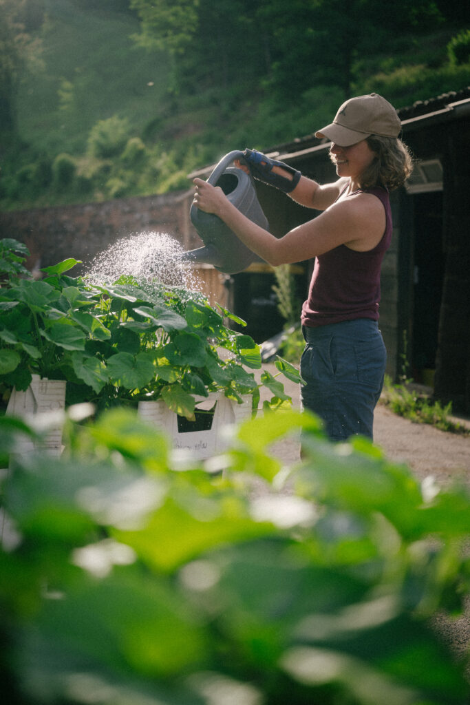 Agrarbiotope Taubertal Reportagefotografie Landwirtschaft Agroforst Reportagefotografie Landwirtschaft Arbeit Frau mit Gieskanne