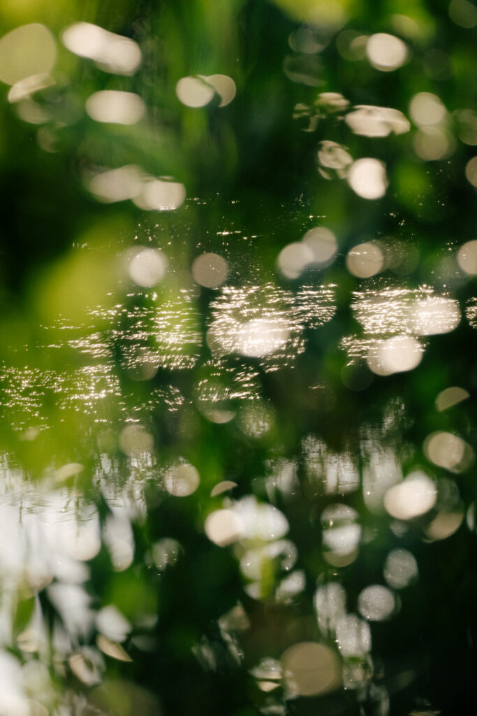 NABU Havel Renaturierung Reportage & Wildlifefotografie 15 Nabu Reportagefotografie Wildlife Havel Brandenburg Bokeh Natur