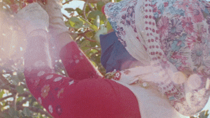 Landing 54 Brandingfilm